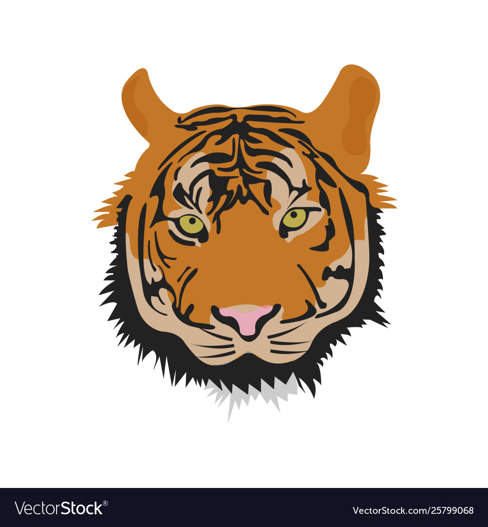 The Royal Bengal Tiger