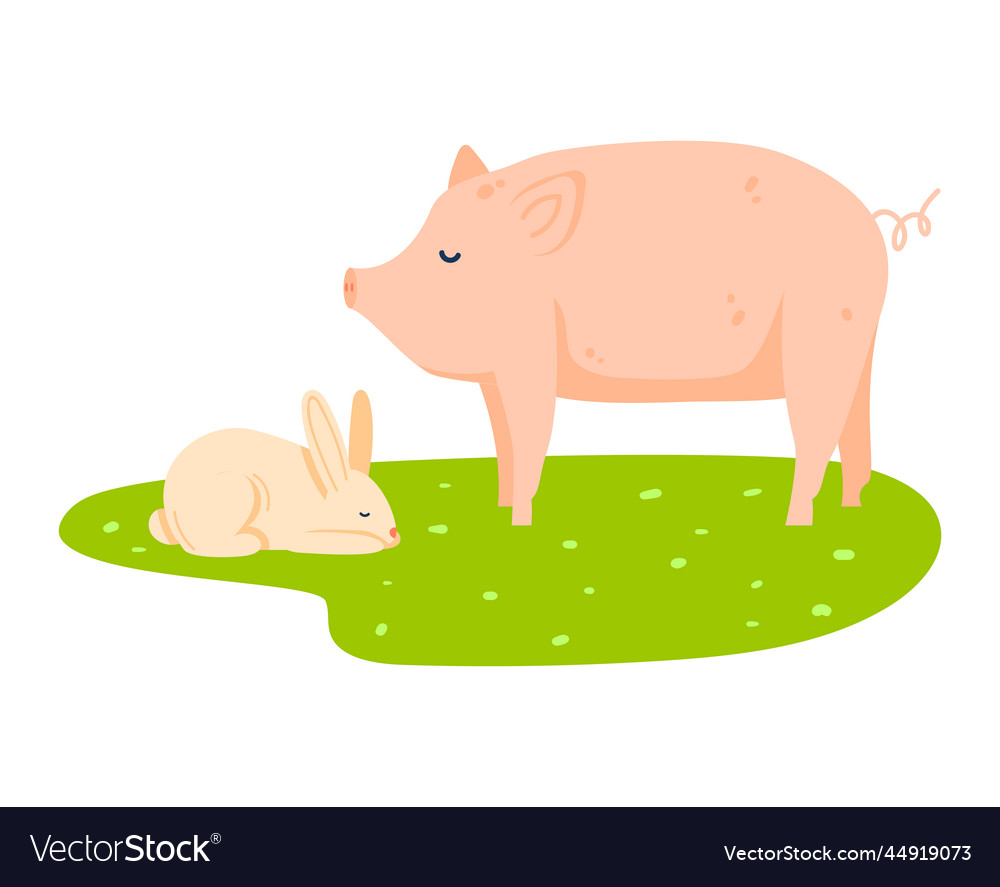 Farm pig and rabbit isolated on white