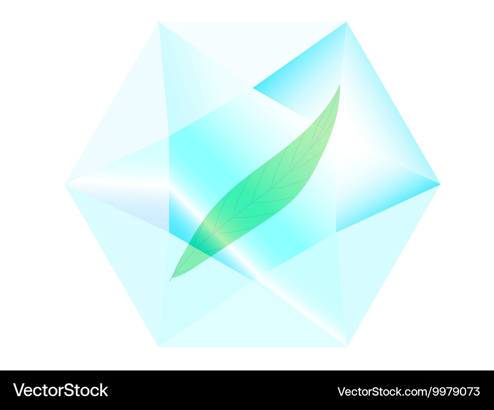 Leaf inside a diamond Royalty Free Vector Image