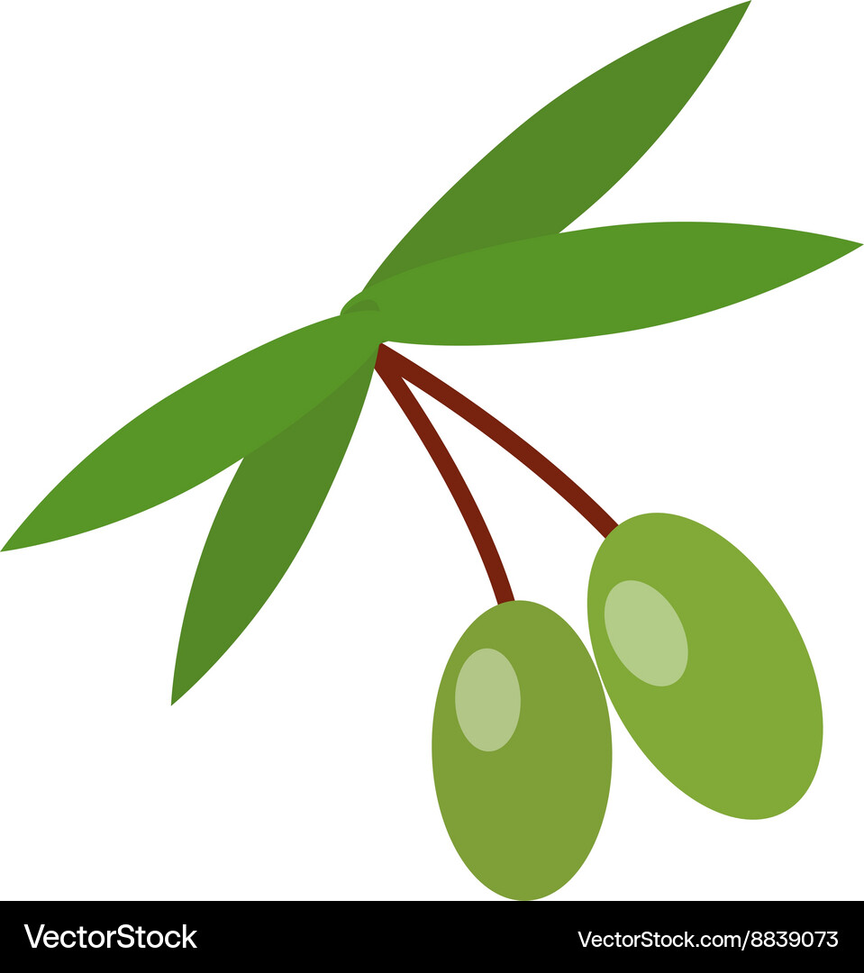 Olive branch Royalty Free Vector Image - VectorStock