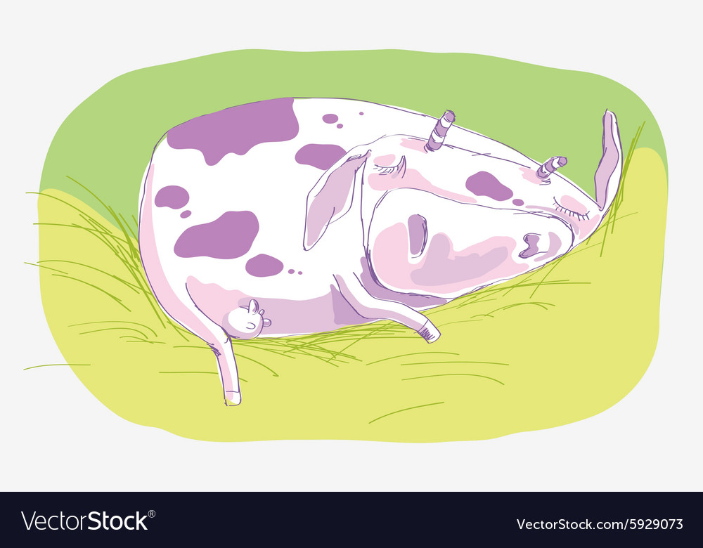 Sleeping cow