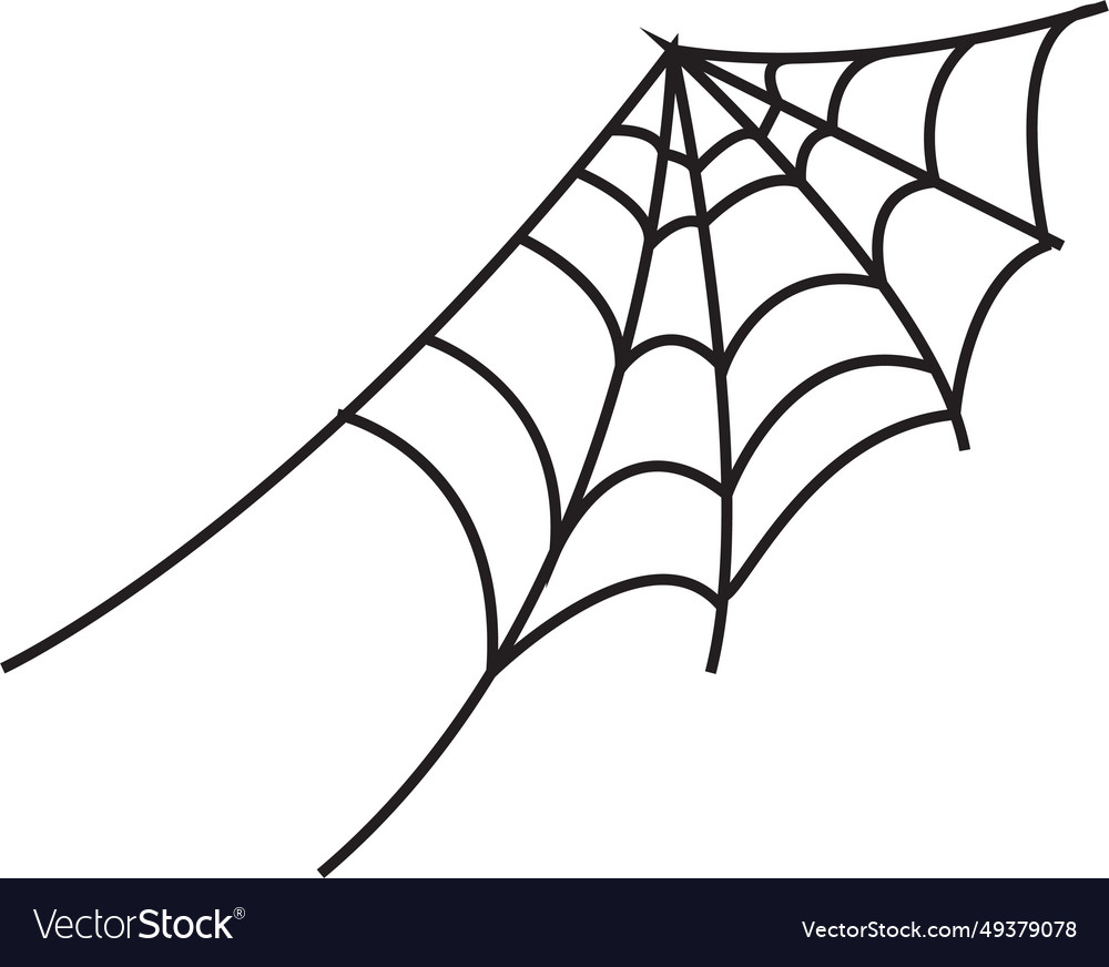 Spider web on transparent background spiderweb vector image Spider web on transparent background spiderweb