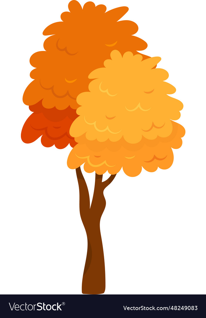 Autumn tree plant Royalty Free Vector Image - VectorStock