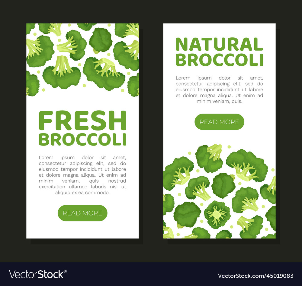 Broccoli green vegetable design with cabbage head