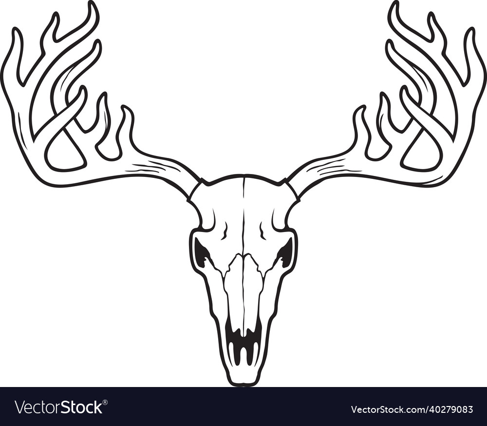 Deer skull black white Royalty Free Vector Image