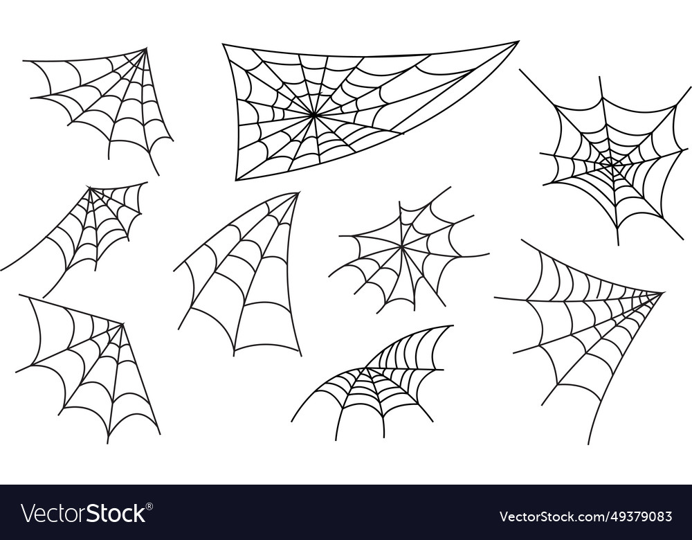 Set of spider web on transparent background