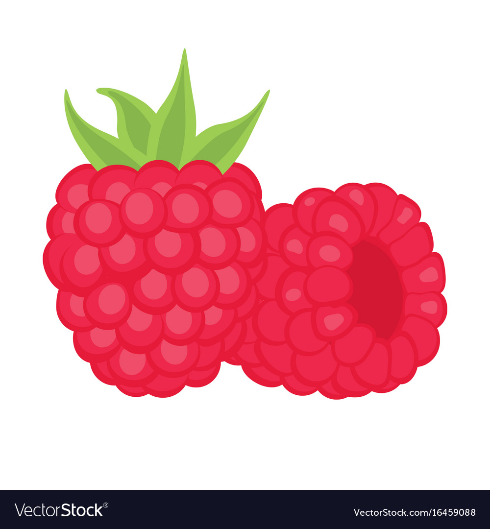 Ripe juicy raspberries Royalty Free Vector Image