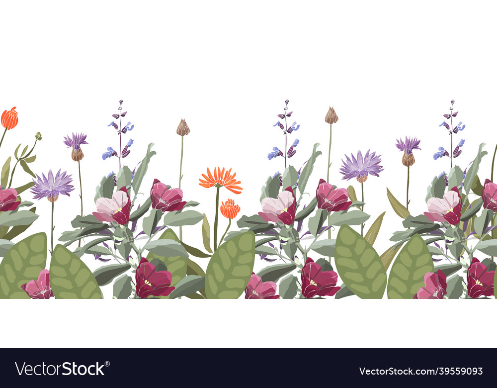 Floral seamless pattern decorative border