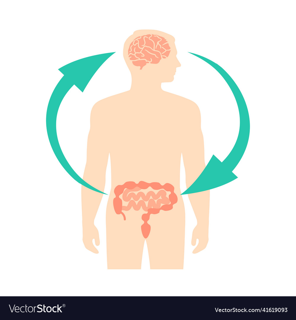 Gut-Brain Axis Connection