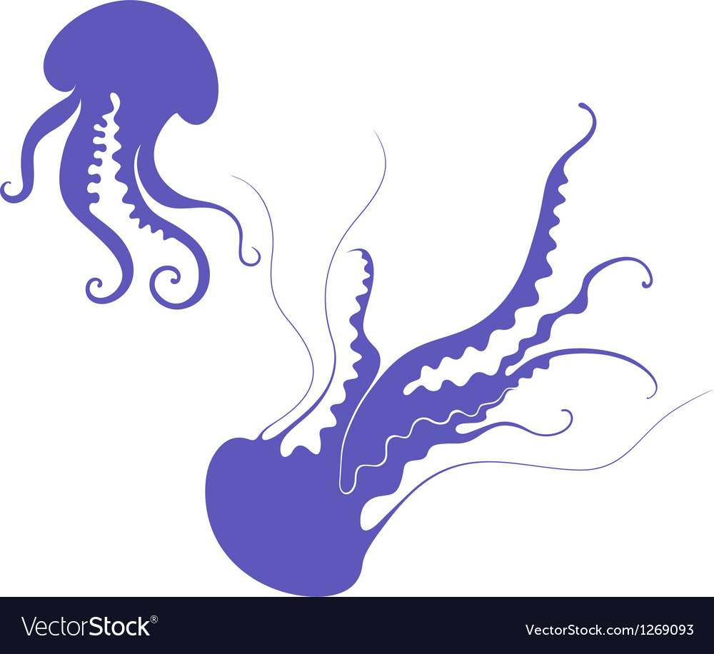 Download Jellyfish Royalty Free Vector Image - VectorStock