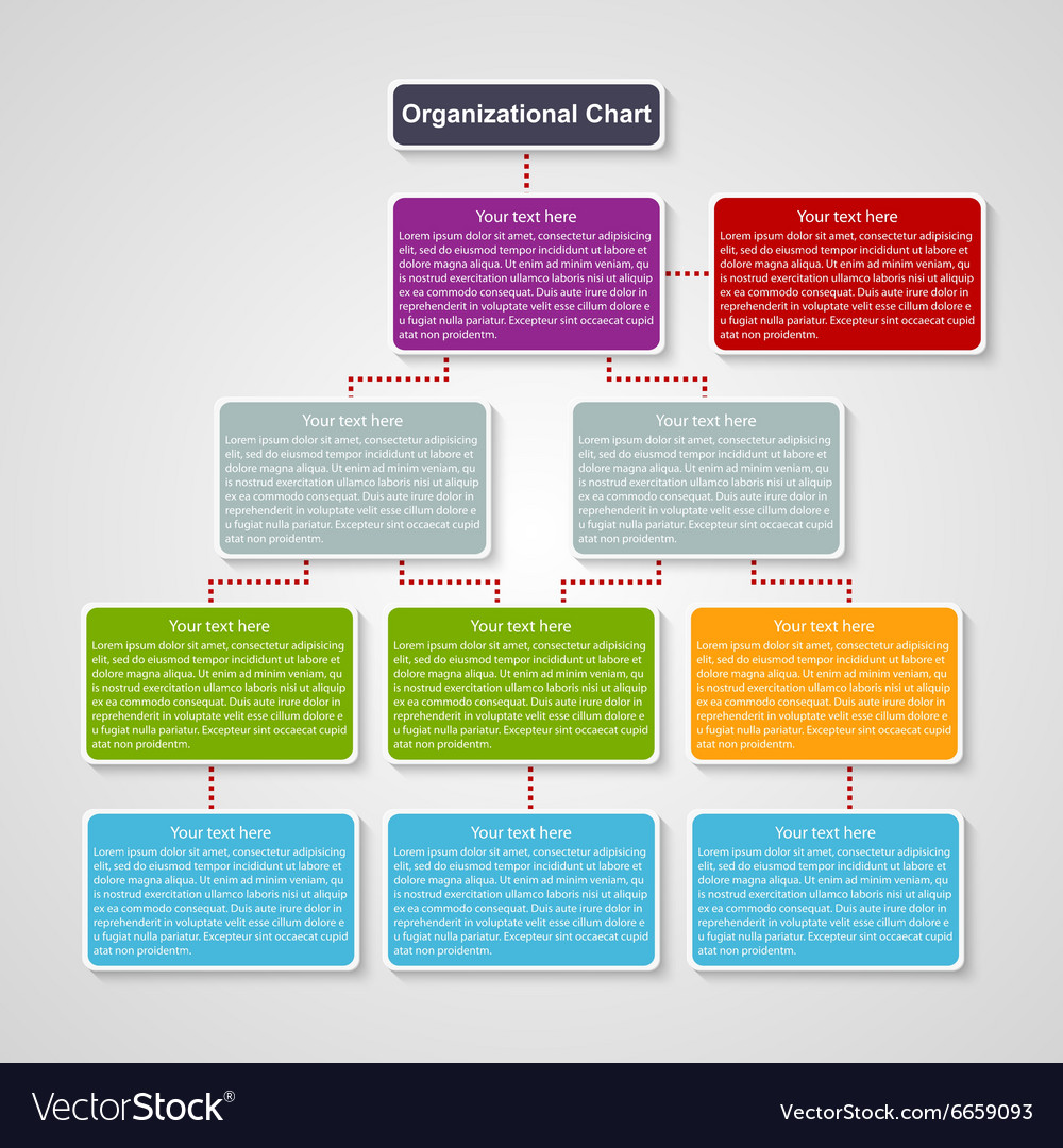 Organization Chart Template Royalty Free Vector Image