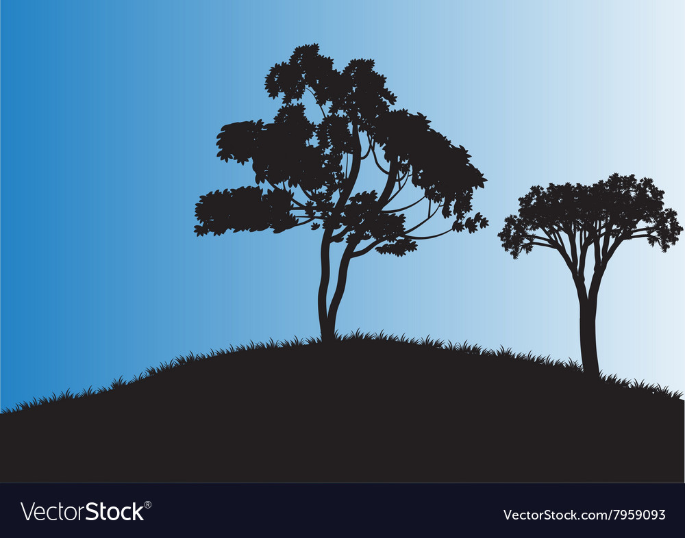 Silhouettes of two tree in fields