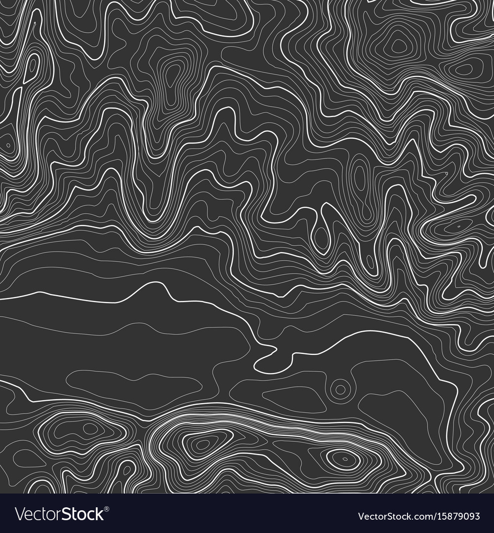 Topographic map background with space for copy Vector Image