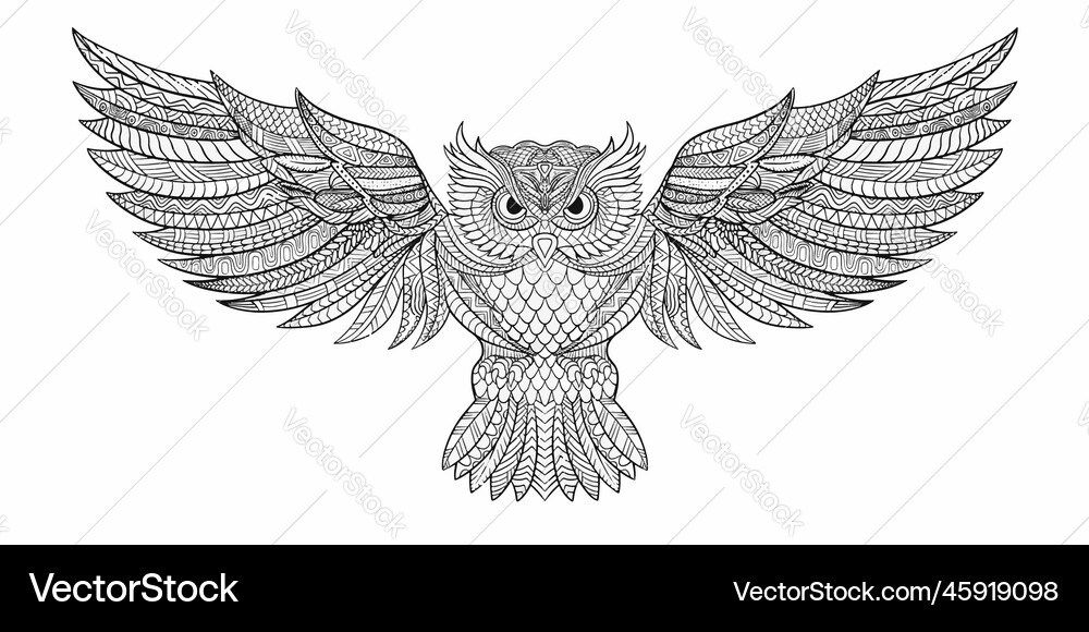 Owl Royalty Free Vector Image - VectorStock