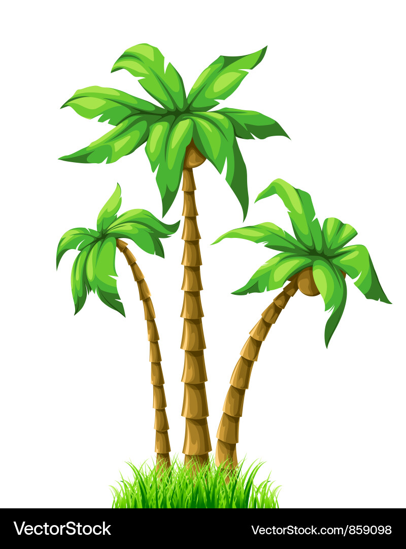 Summer with palm trees Royalty Free Vector Image