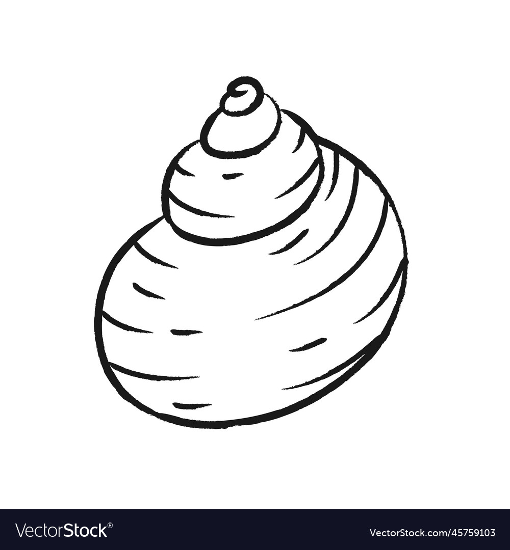 Seashell abstract boho sketch doodle style