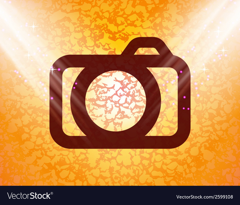Camera flat modern web button and space for your