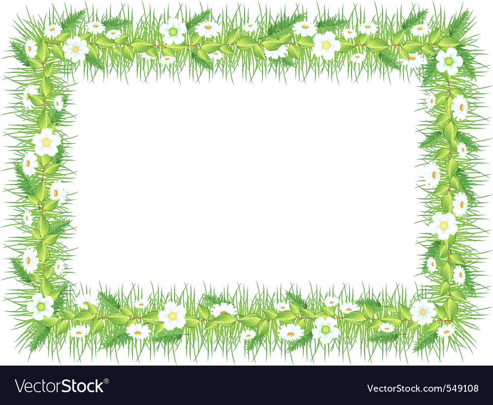 Frame grass Royalty Free Vector Image - VectorStock