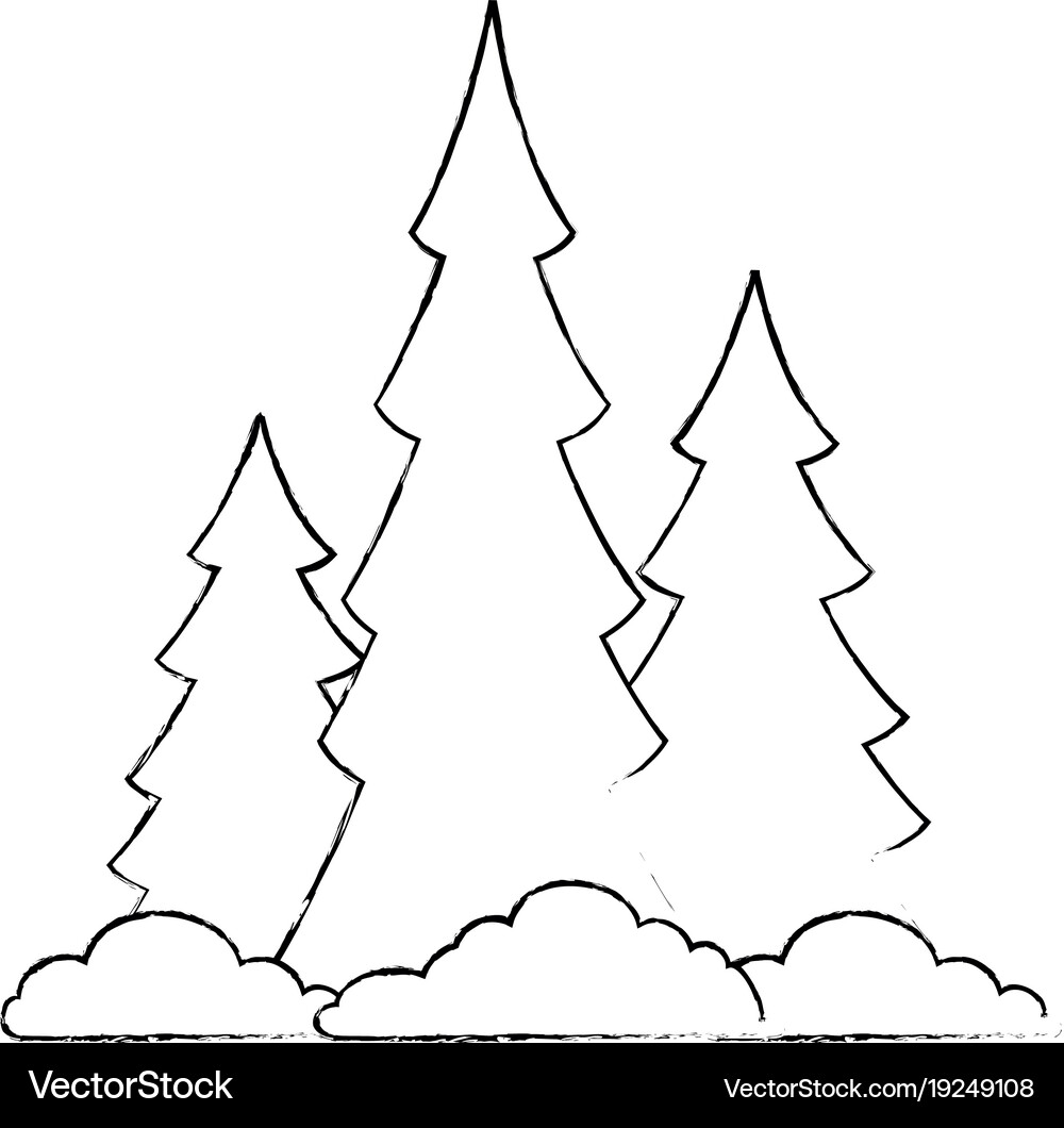 Pine forest scene icon Royalty Free Vector Image