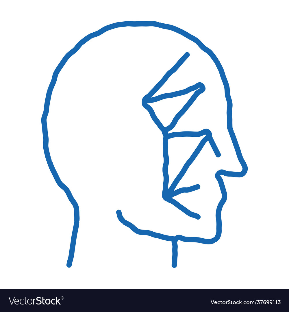 Face scan points point projectors doodle icon vector image Face scan points point projectors doodle icon