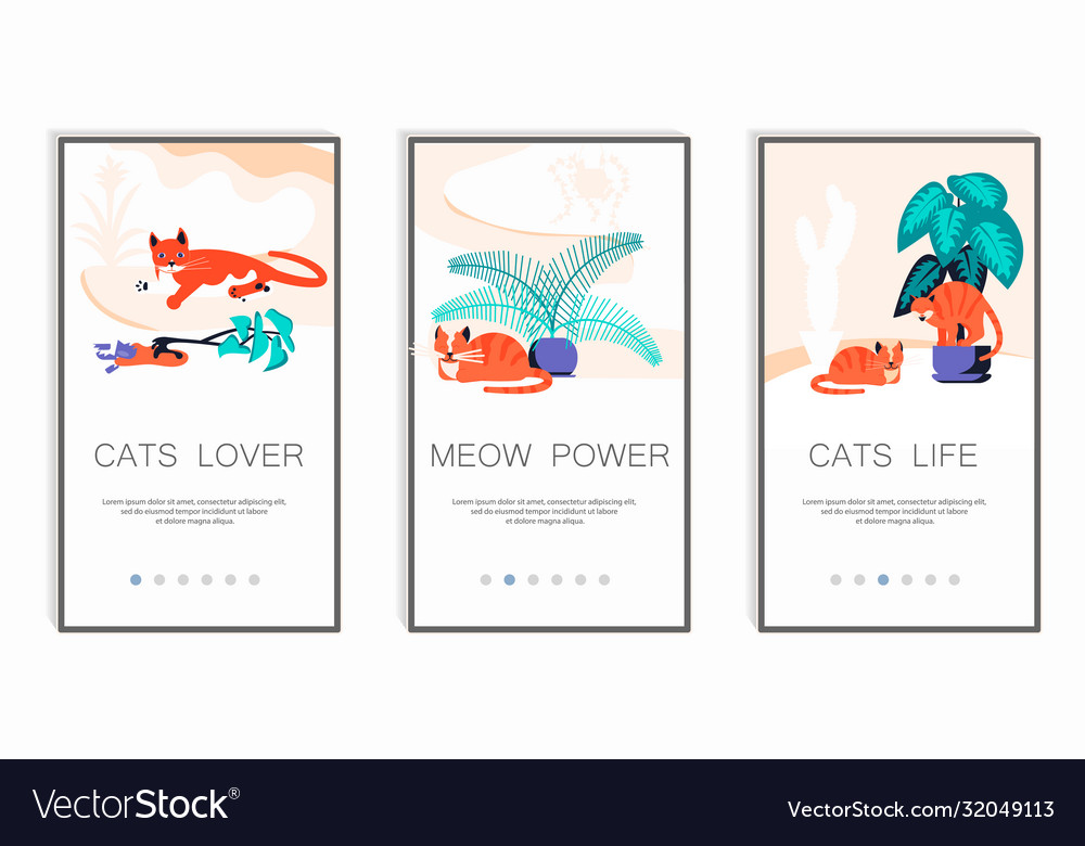 Playful kitten mobile app screens