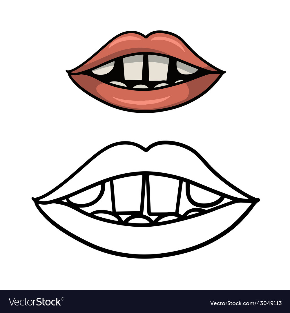Set of color image with sketch coloring Vector Image Set of color image with sketch coloring