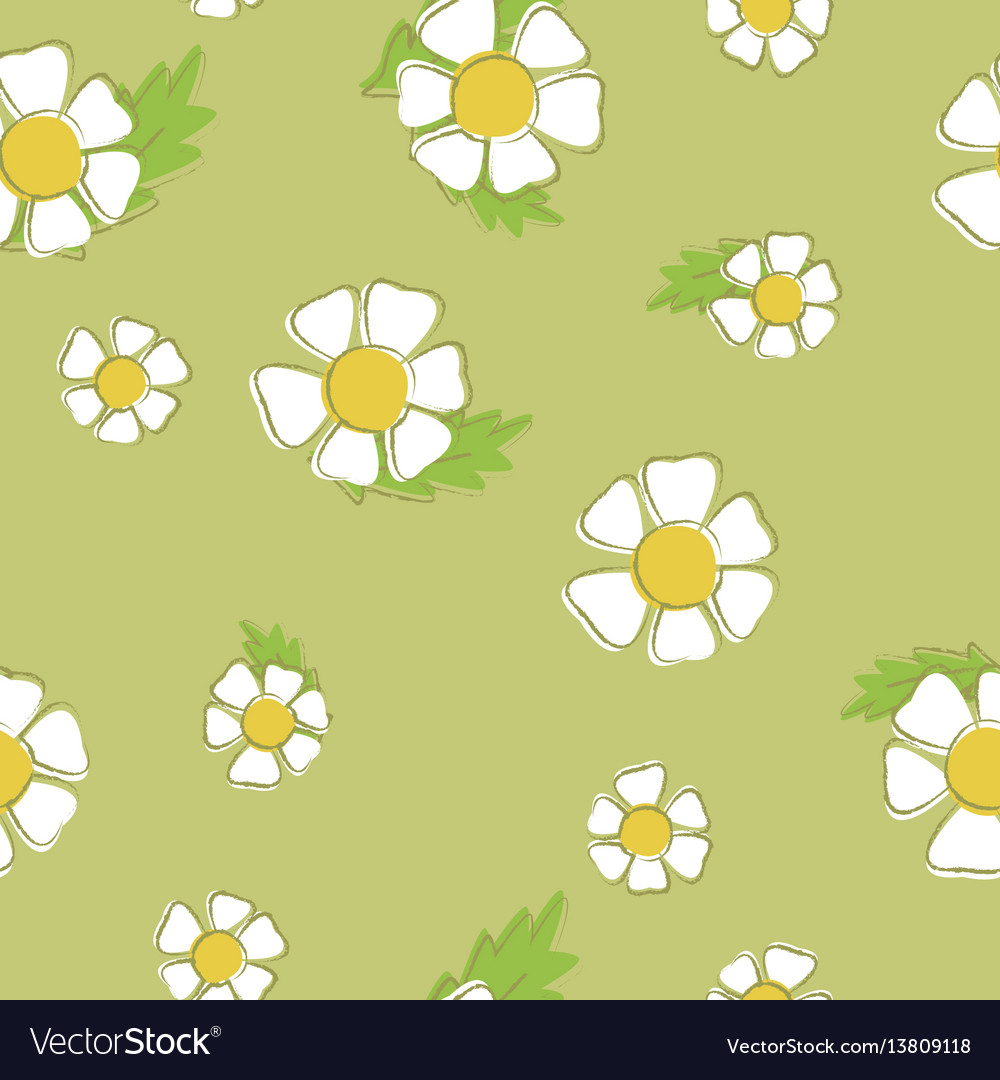 Background of chamomiles seamless pattern vector image Background of chamomiles seamless pattern