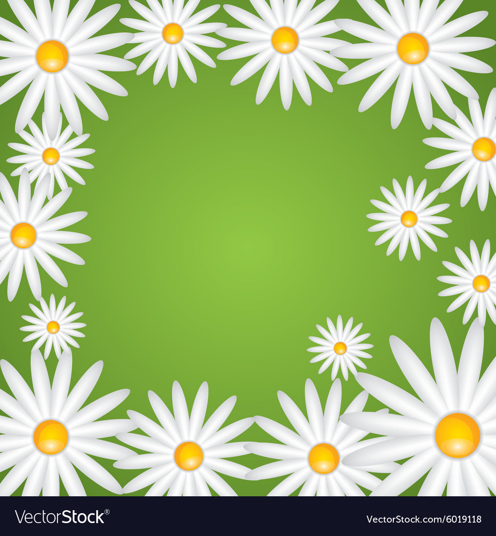 Floral background