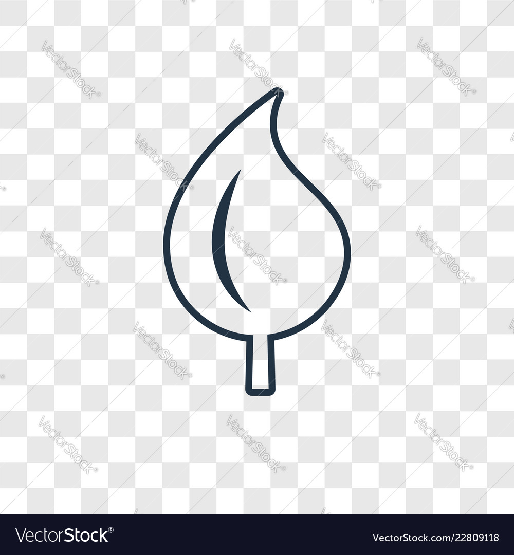 Leaf concept linear icon isolated on transparent