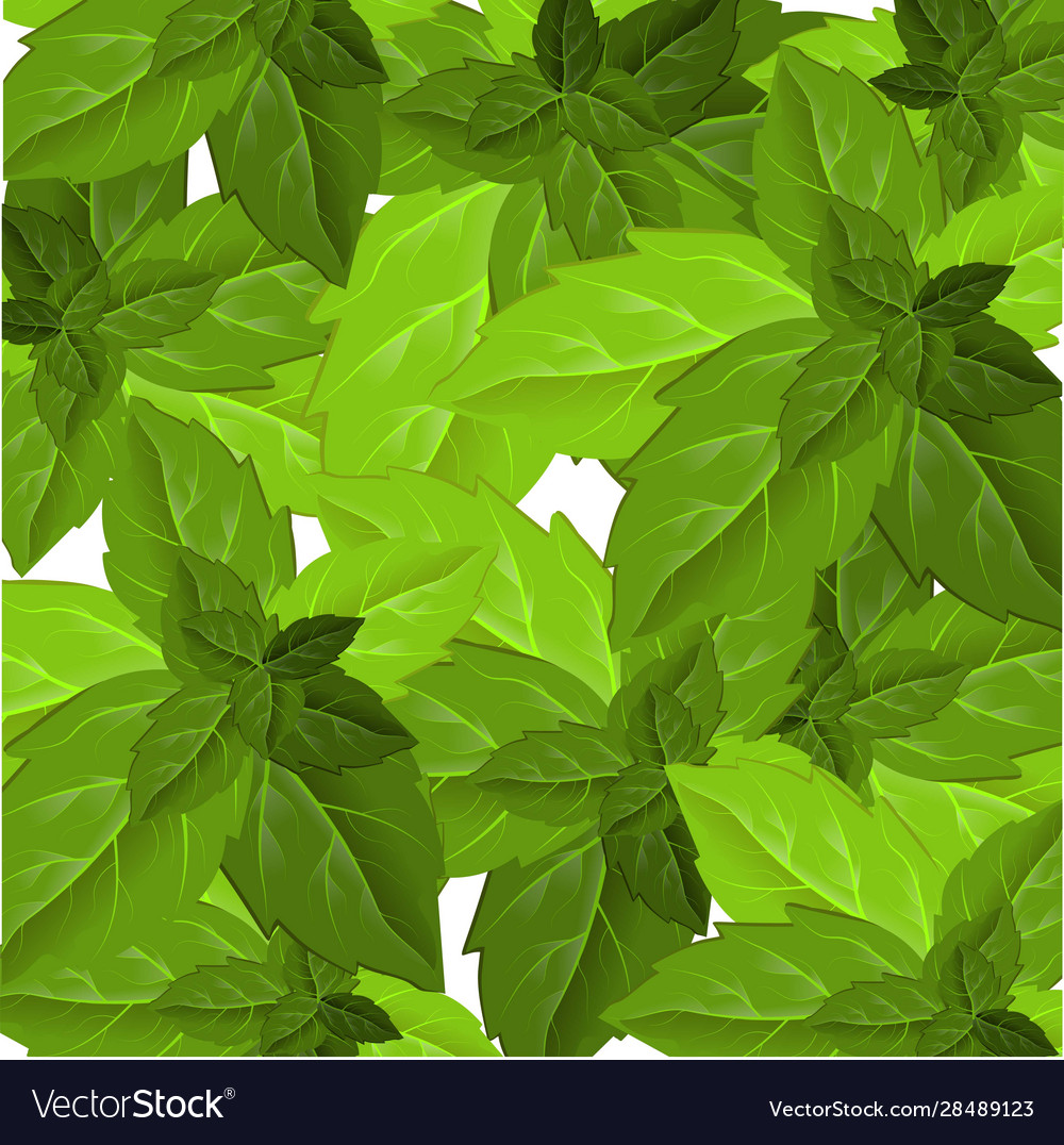 Forest foliage leaf texture green leaves frame