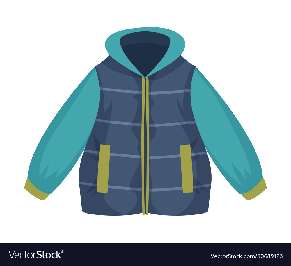 Padded jacket with side pockets as womenswear Vector Image