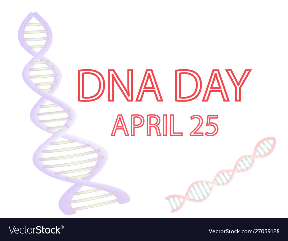 Dna day 25th april Royalty Free Vector Image - VectorStock