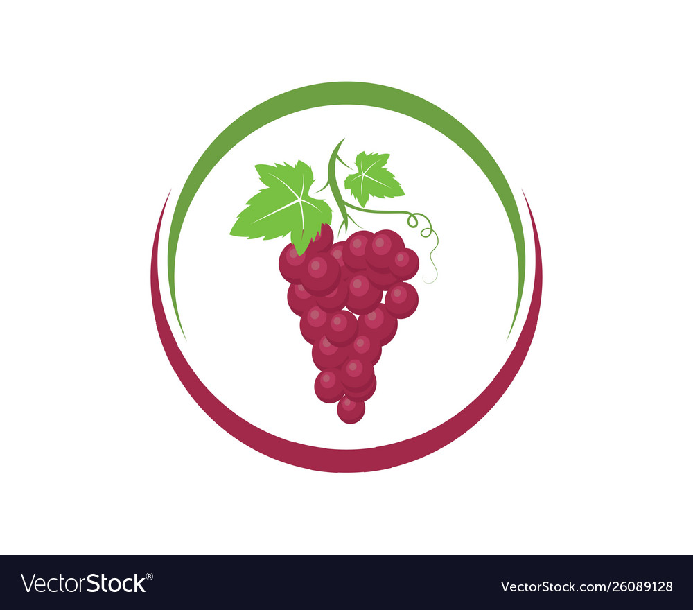 Grape Fruits With Leaf Icon Royalty Free Vector Image