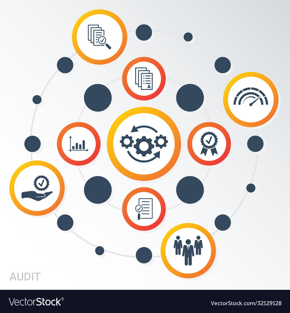 Infographic template audit data visualization vector image Infographic template audit data visualization
