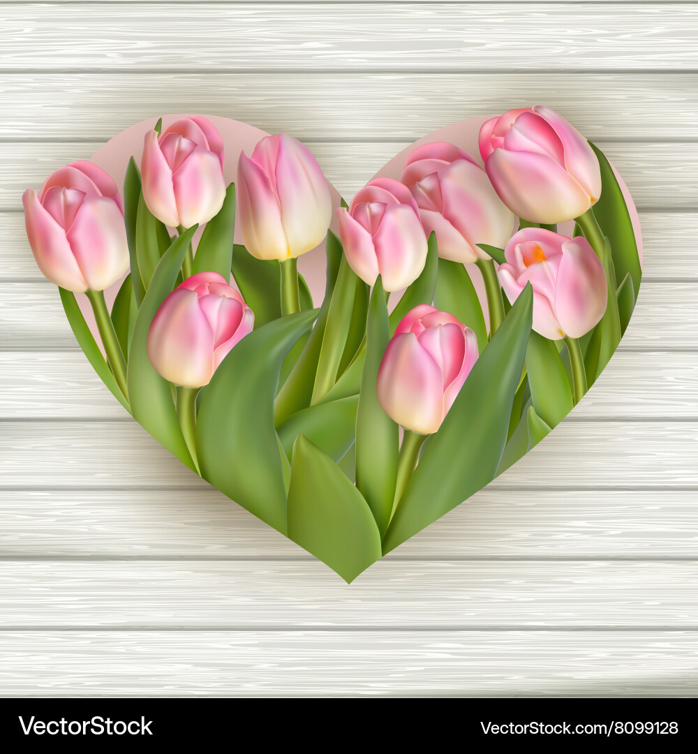 Tulip heart frame bouquet EPS 10 Royalty Free Vector Image