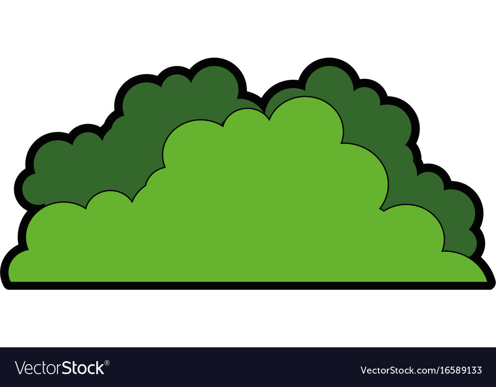 Bush icon image Royalty Free Vector Image - VectorStock