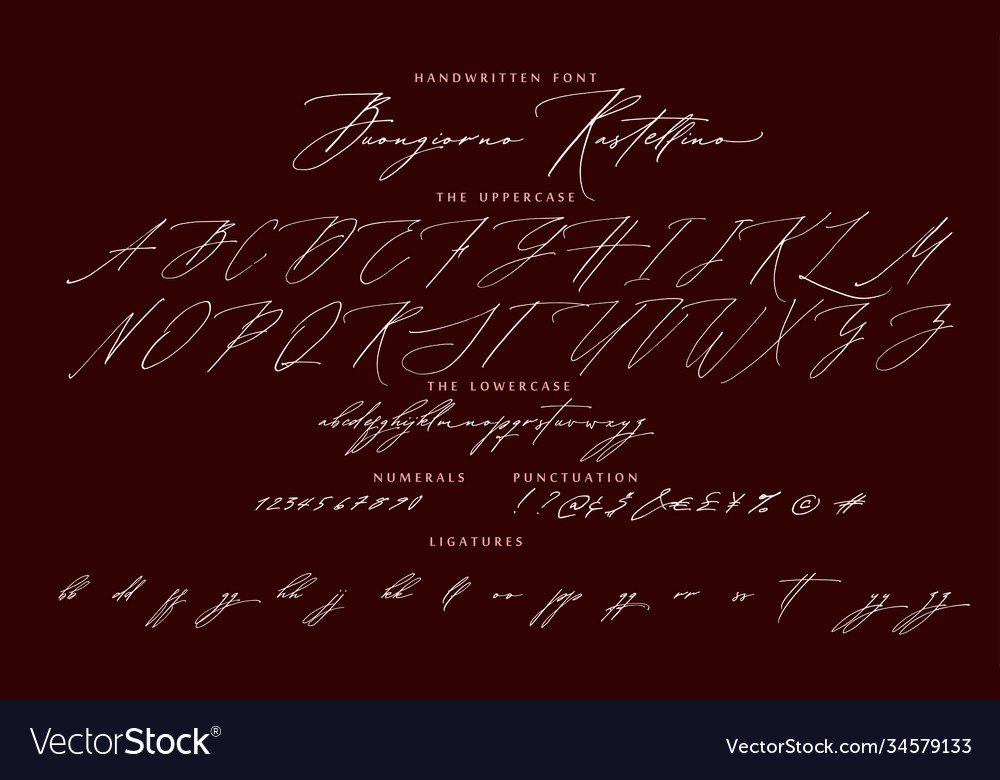 Elegant Calligraphic Script Font