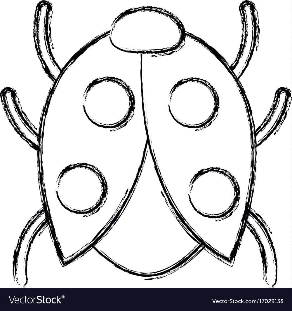 Bug sign icon virus symbol software error