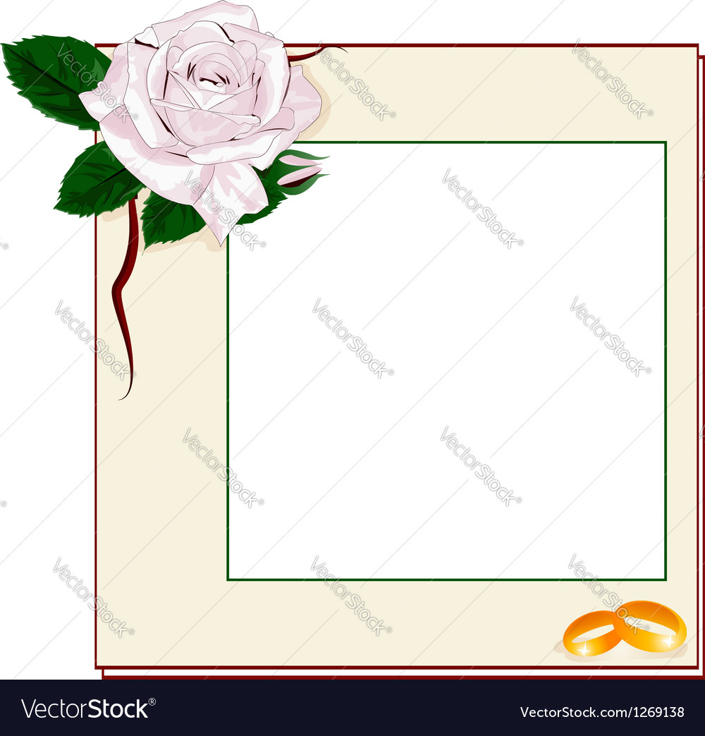 Frame with light pink rose and rings eps10