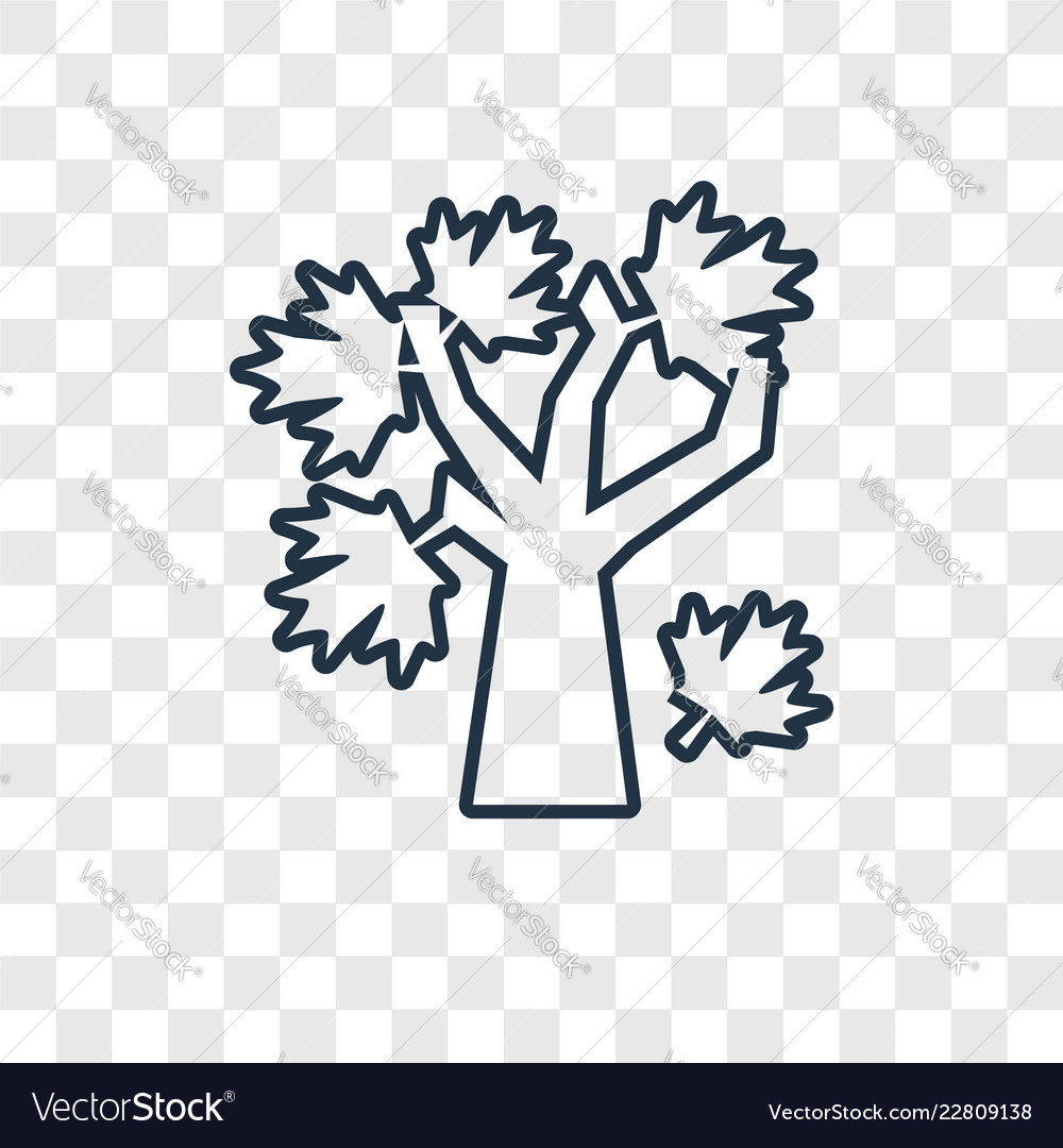 Tree concept linear icon isolated on transparent