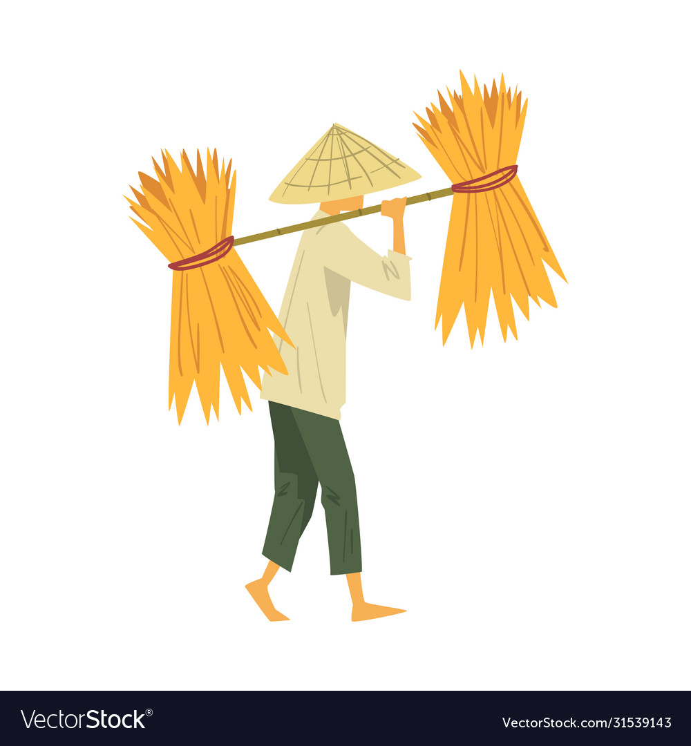 Asian farmer in straw conical hat carrying long Vector Image