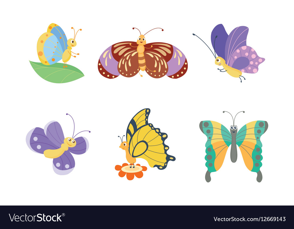 Colorful butterflies