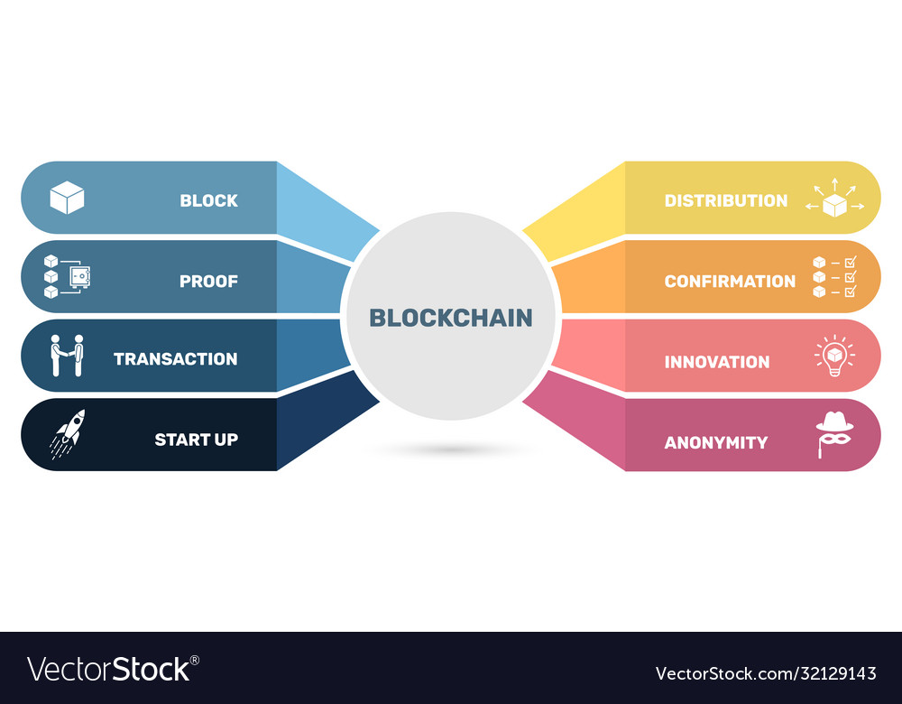 Infographic template blockchain can vector image Infographic template blockchain can