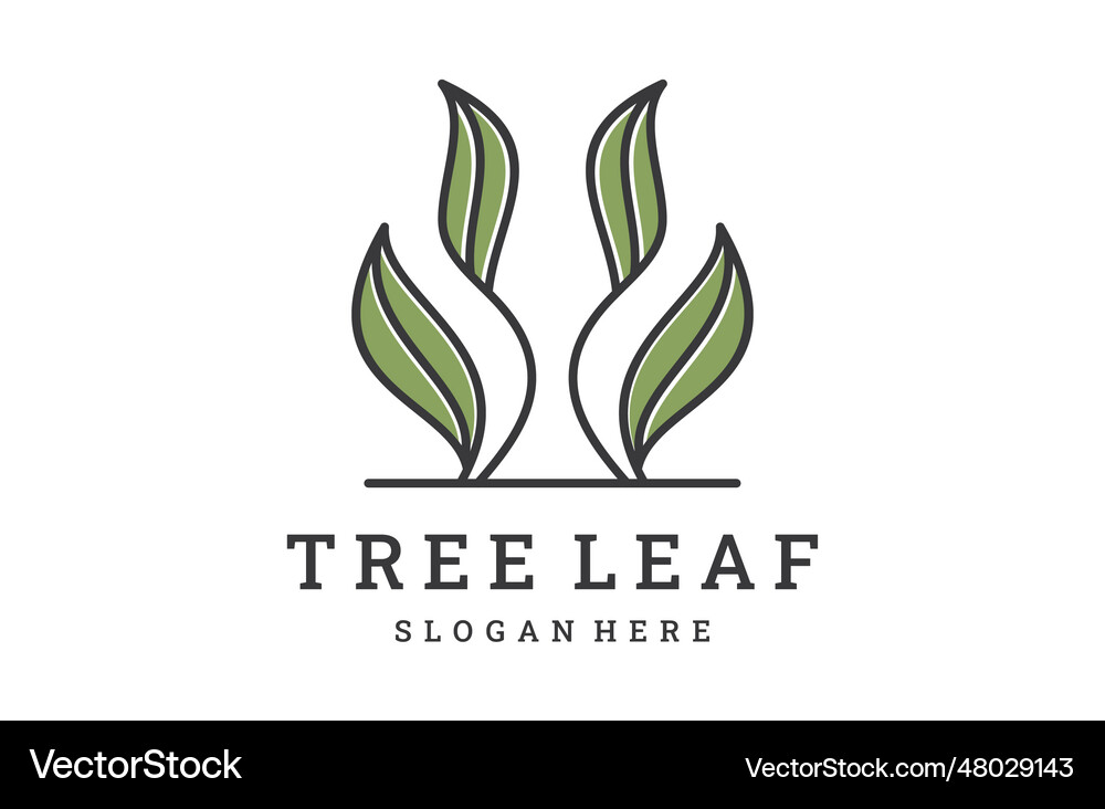 Tree leaf Royalty Free Vector Image - VectorStock