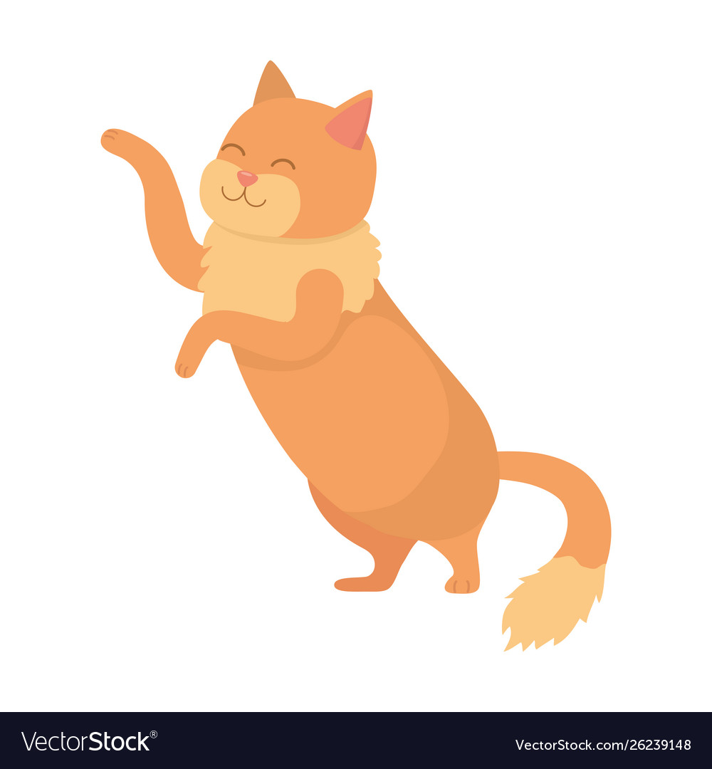 Cat cartoon design Royalty Free Vector Image - VectorStock