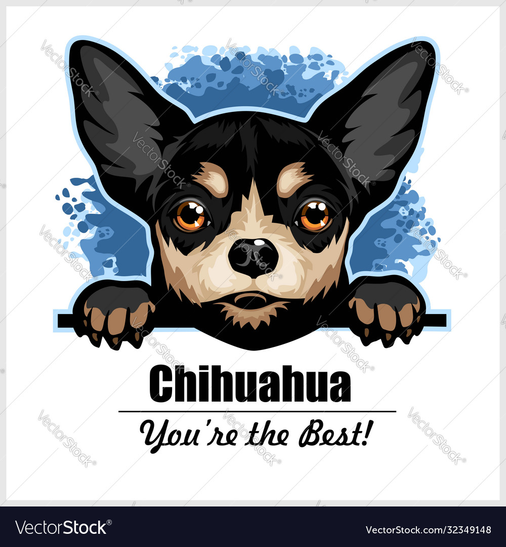 Chihuahua Dog Head Portrait - Peeking