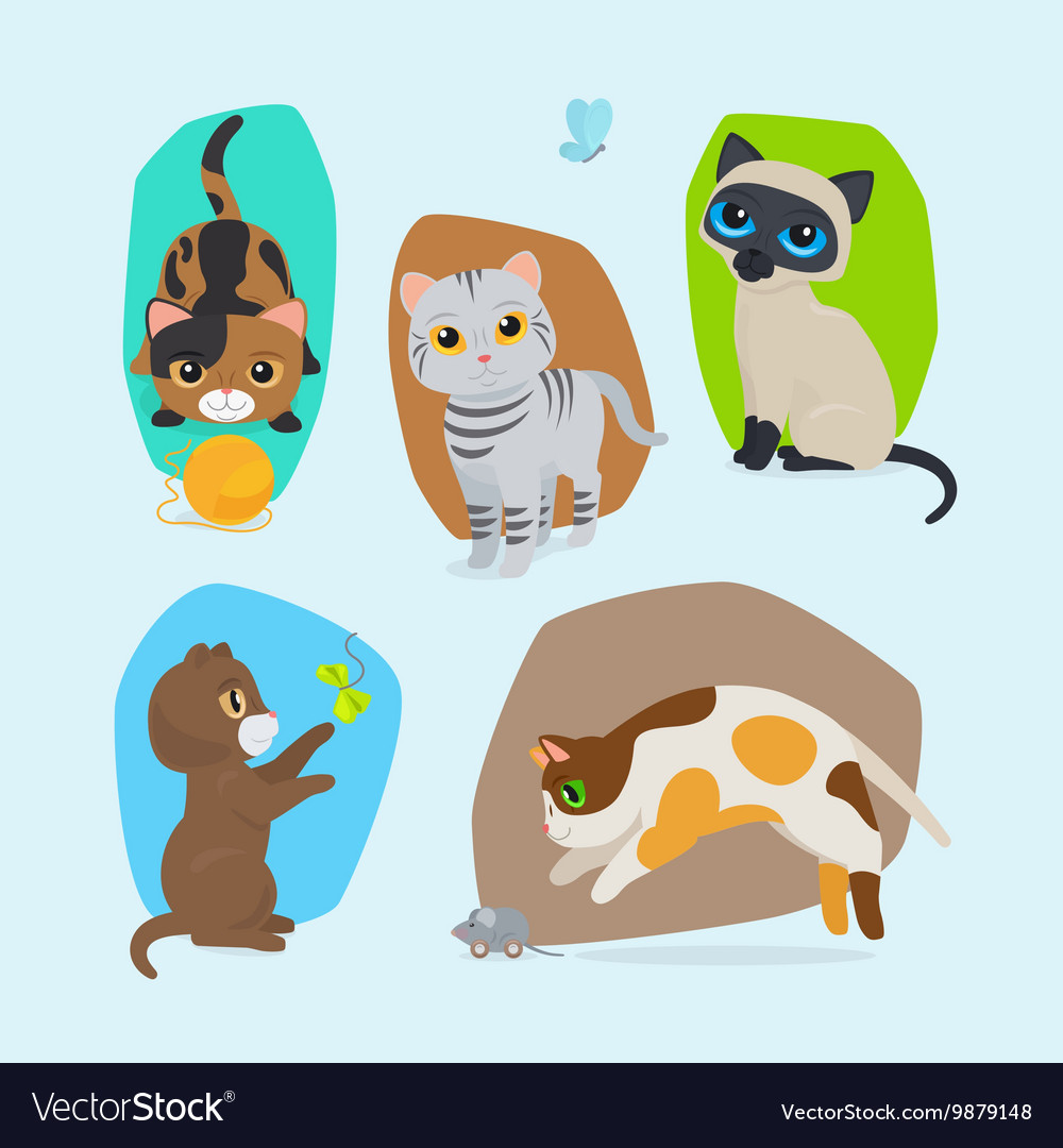 Cute kittens isolated set