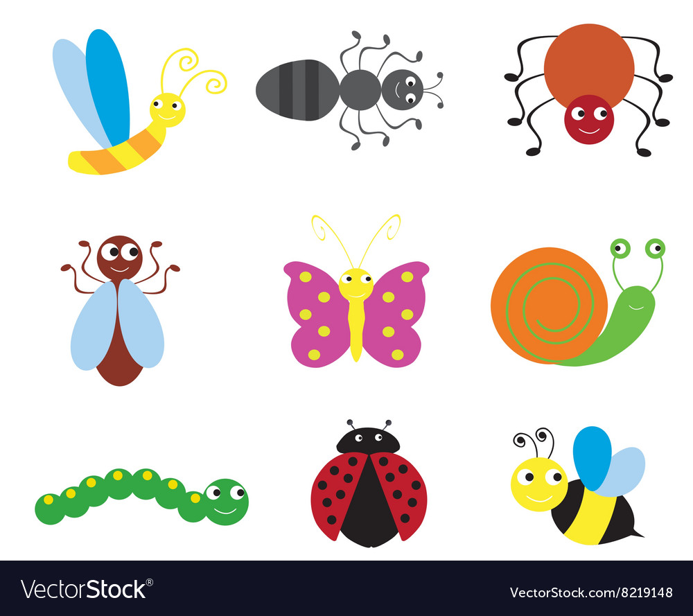 Insects bugs Royalty Free Vector Image - VectorStock