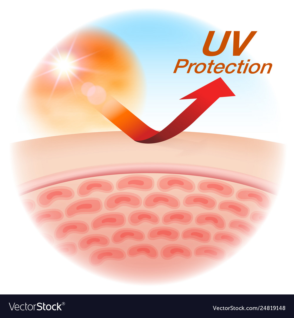 Uv Protection Royalty Free Vector Image - Vectorstock