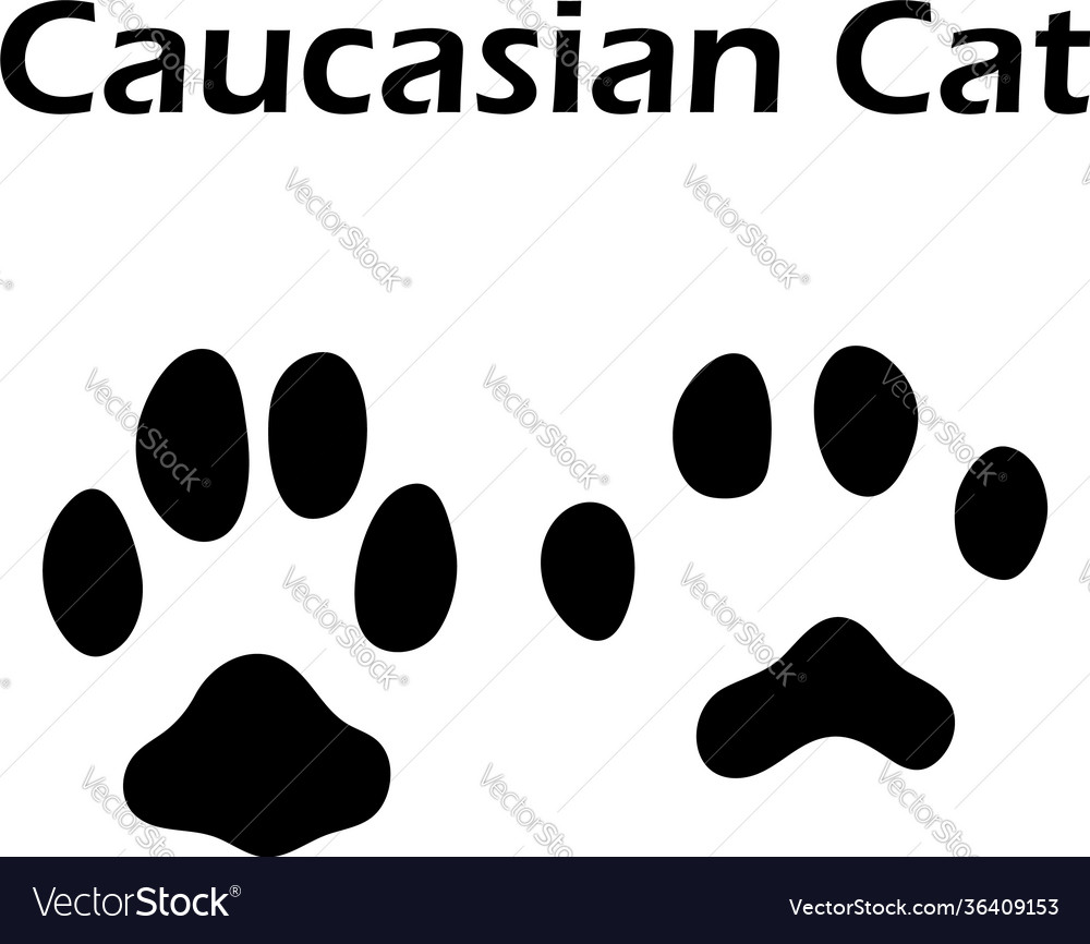 Caucasian cat footprint Royalty Free Vector Image